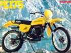 1980 Suzuki PE 175